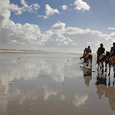Vakantiehuis Family Cottage, Belle Dune, Maison 4 A 6 Personnes